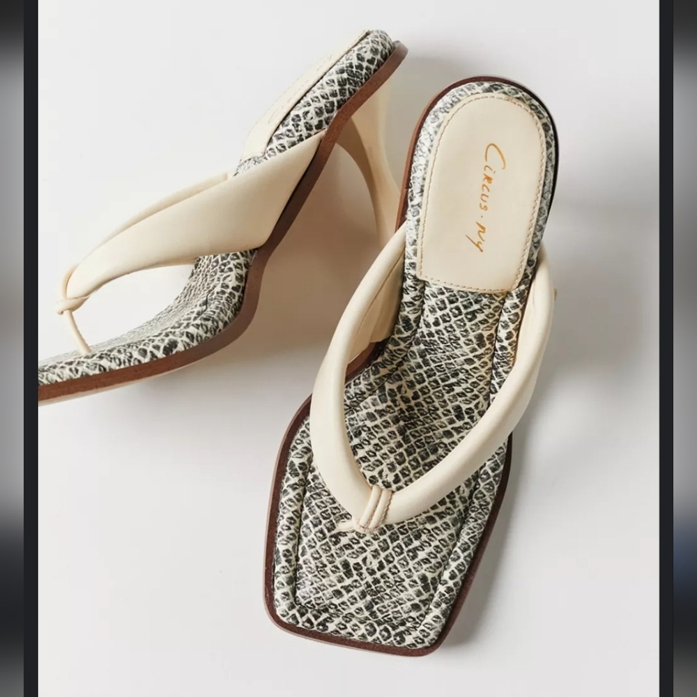 Circus NY by Sam Edelman Skeet thong sandal with a black and white snake print